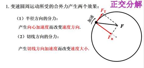 家庭向心力|建立家庭强大的向心力